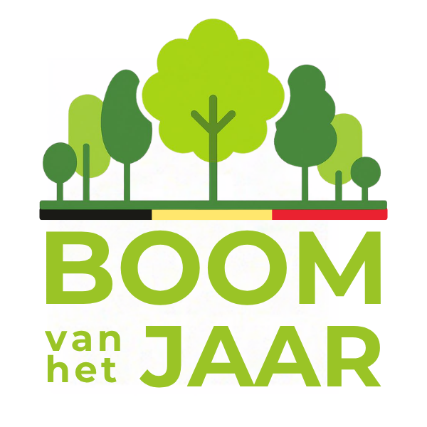 Boom van het Jaar
