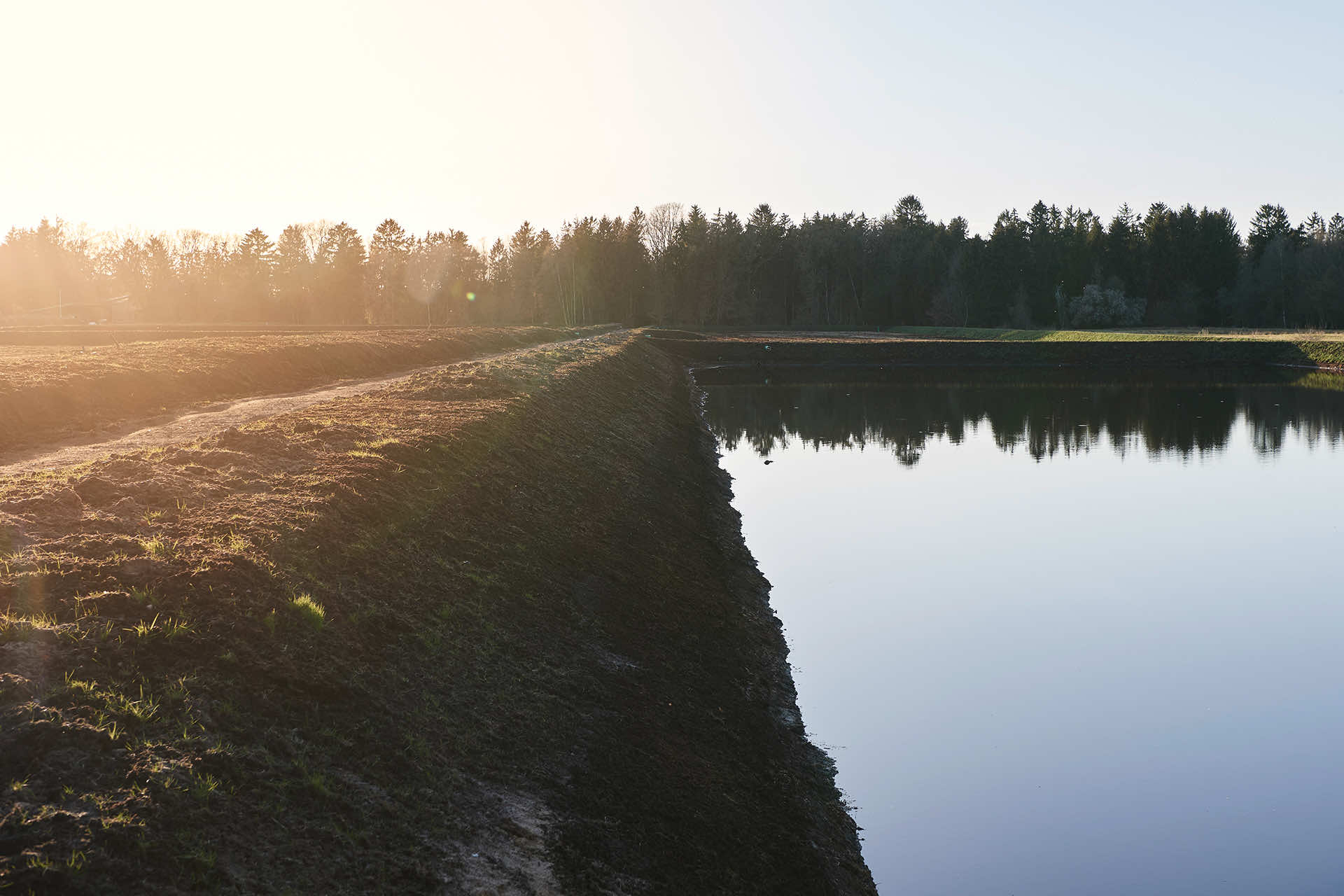 ZukunftMoor-Wasserbecken-Wiedervernaessung-mit-Landwirtschaft