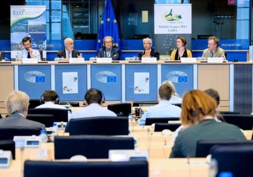 The new EU Forest Strategy – Online Public hearing – European