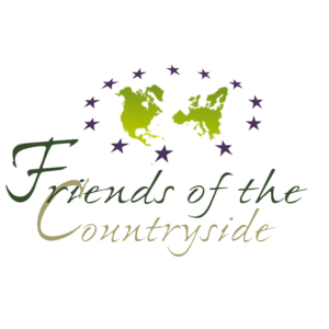 Untitled design (10)