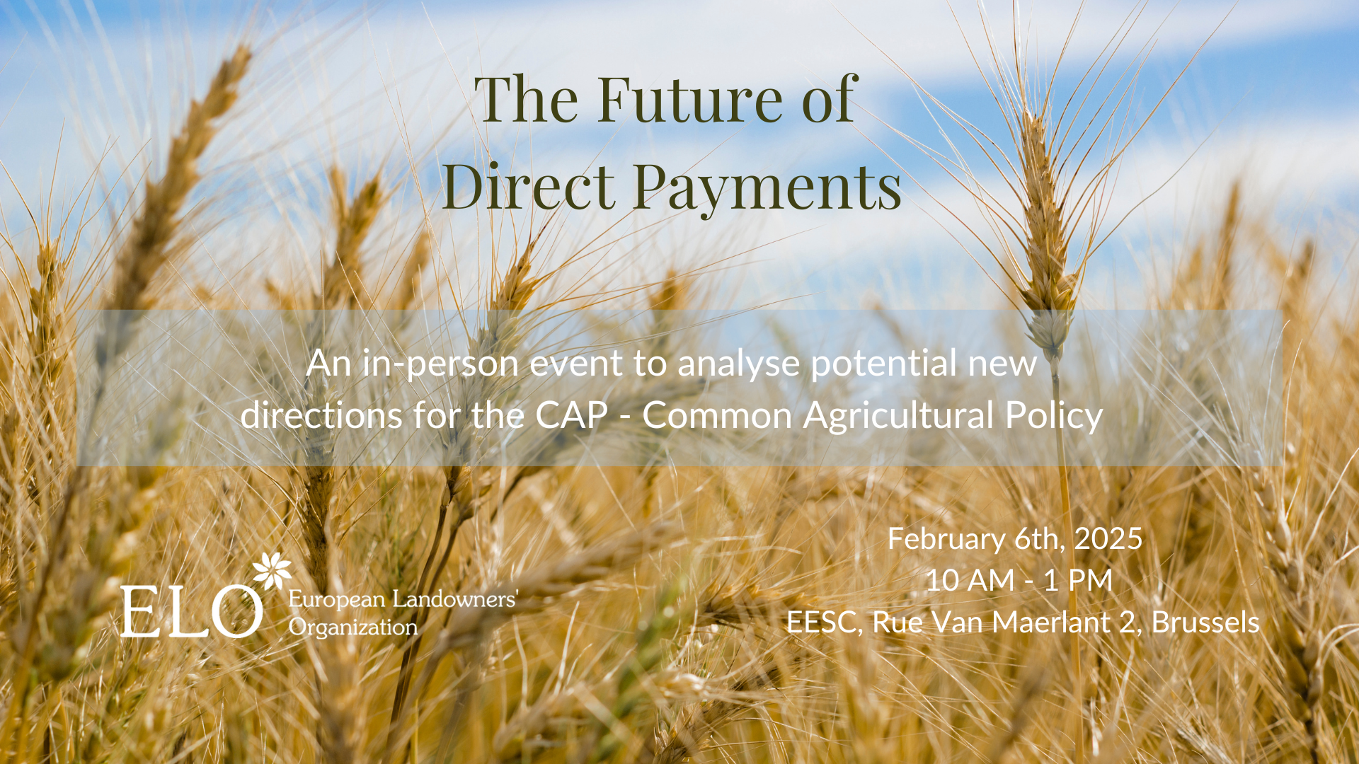 The Future of  Direct Payments