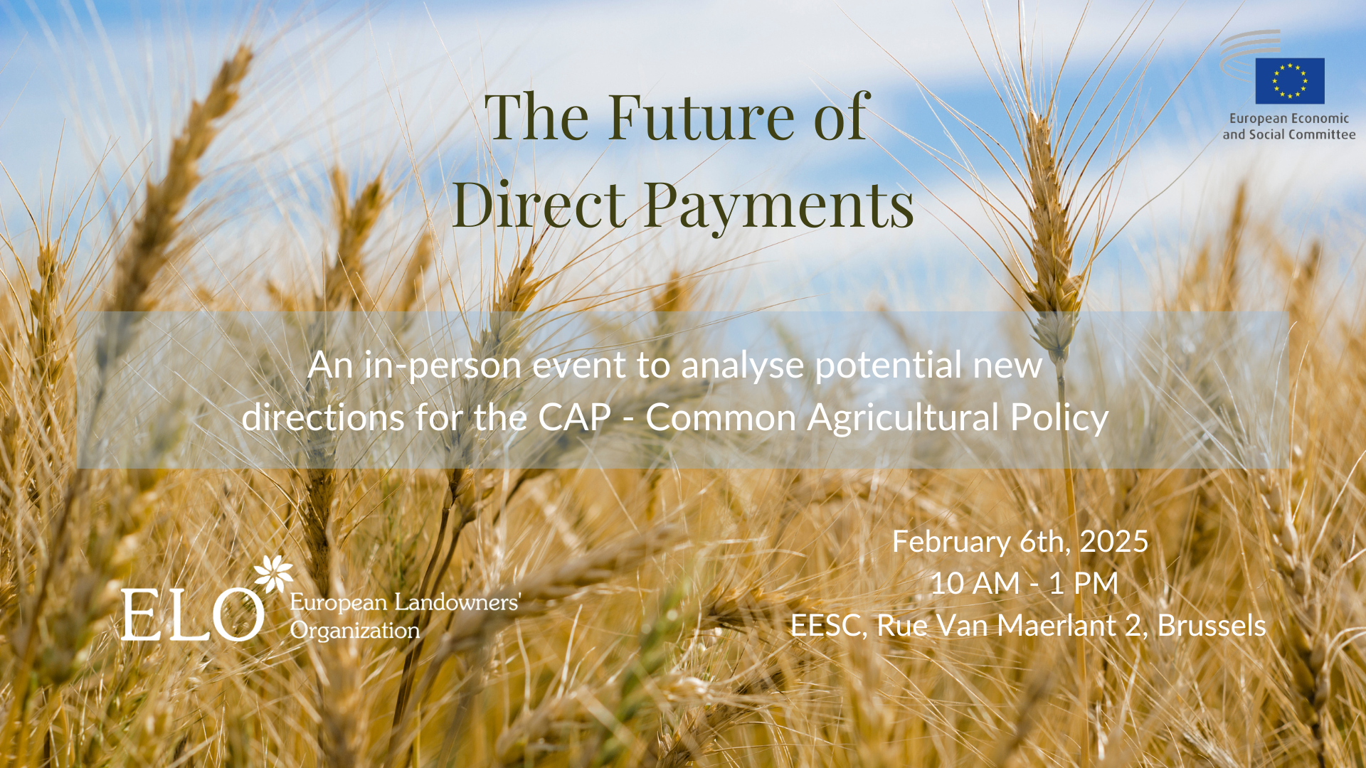 Visual Future of Direct Payments (2)