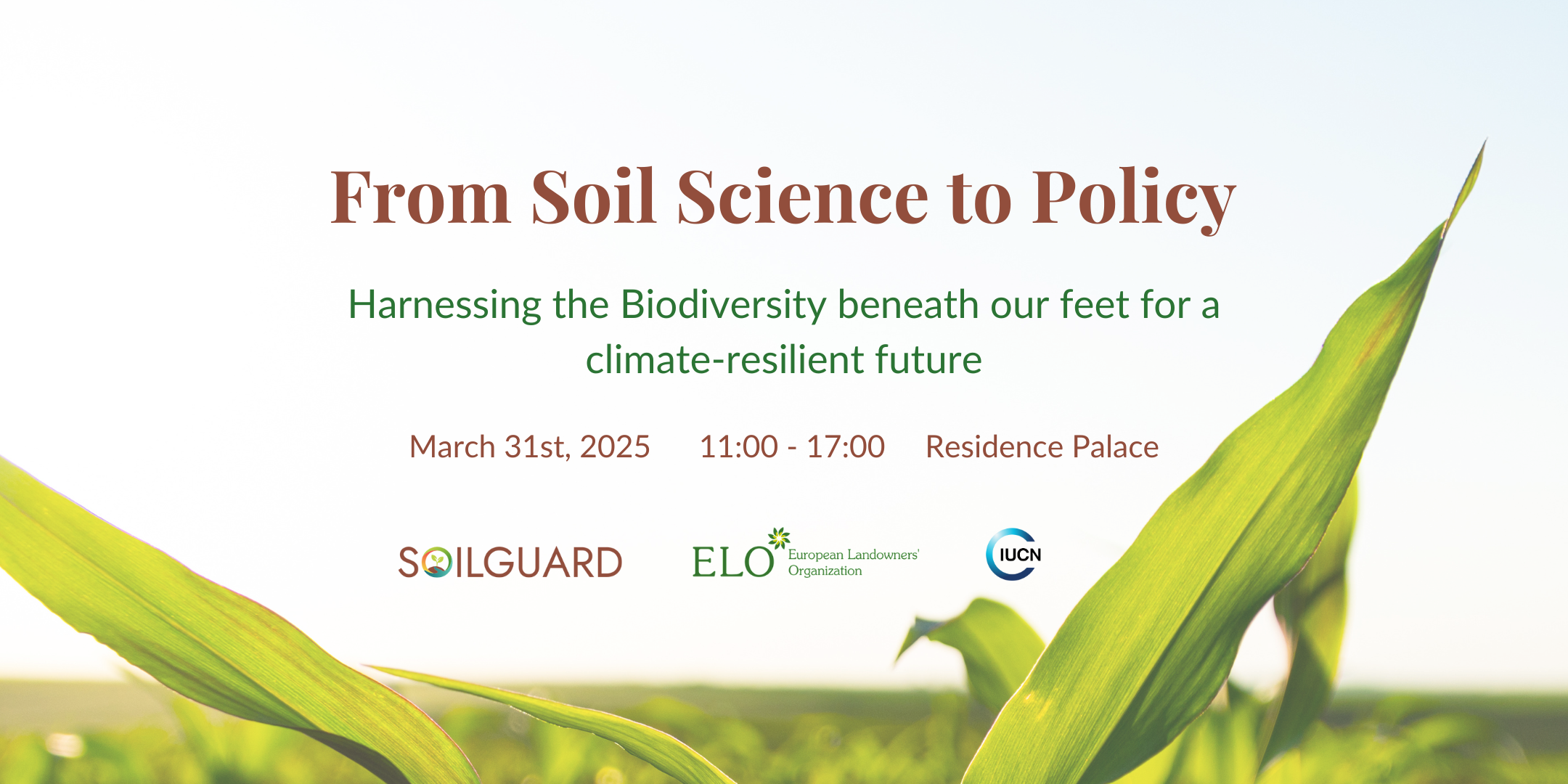 Soil Biodiversity Event (3)