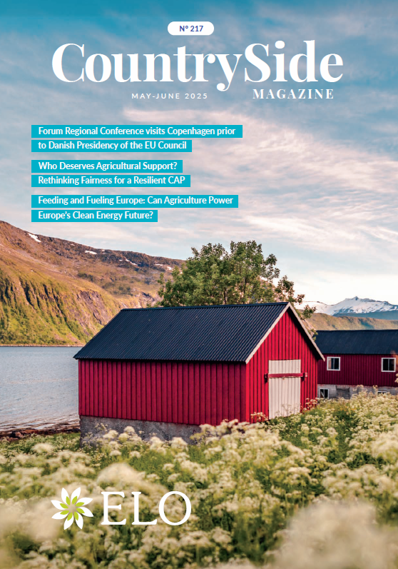 Cover-217