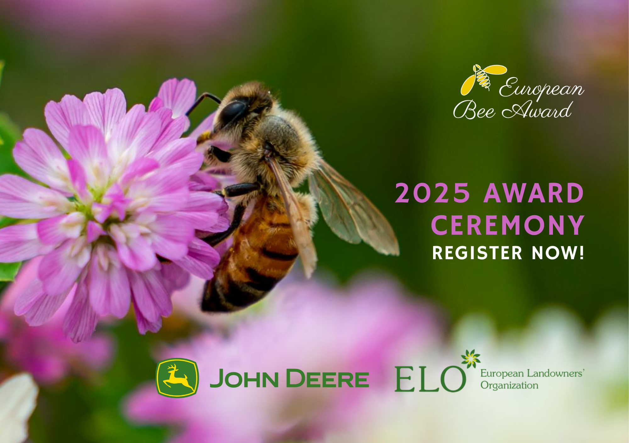 European Bee Award (A5 (Paysage)) (17)