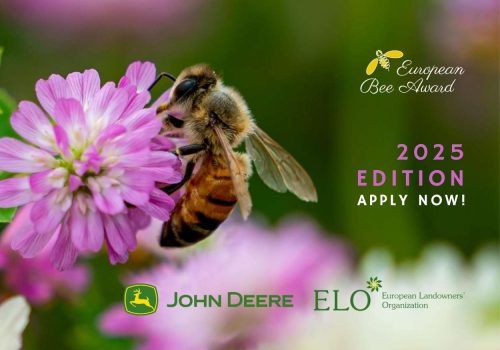 Bee award
