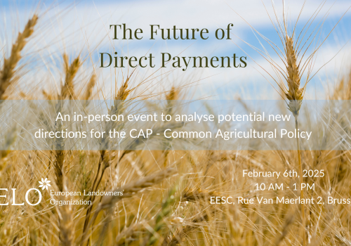 The Future of  Direct Payments