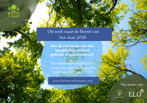 Boom van het Jaar (A4 (paysage)) (1920 x 1080 px) (A3 Document (Landscape)) (1)