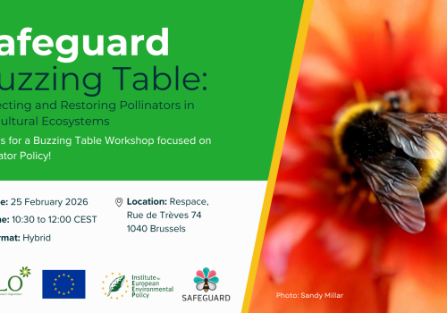 Buzzing Table Workshop EventBrite Banner (5)