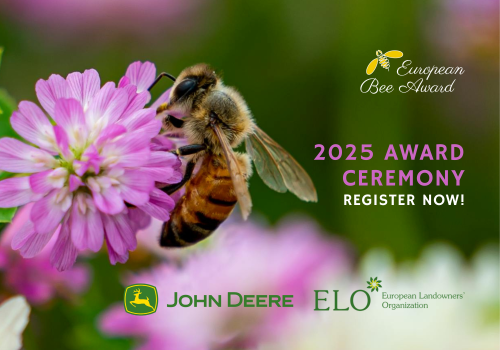 European Bee Award (A5 (Paysage)) (17)
