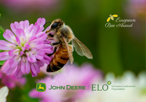 European Bee Award (A5 (Paysage)) (18)