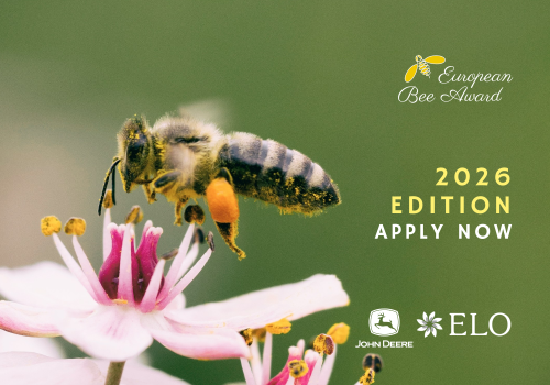 European Bee Award (A5 (Paysage)) (20)