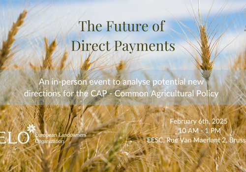 Visual Future of Direct Payments (2)