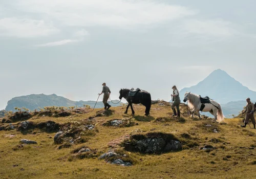 horses14-6-23-62-copy (1)