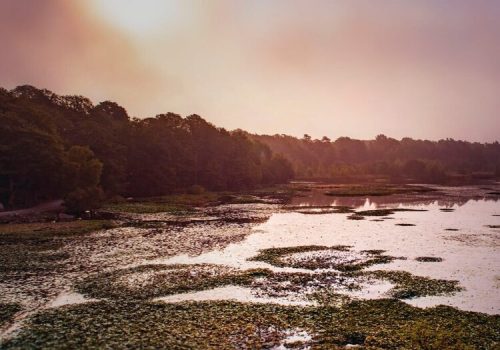 natur-miljo-Farsksjon-Eriksberg_hotell_safaripark-Blekinge-001-1500px